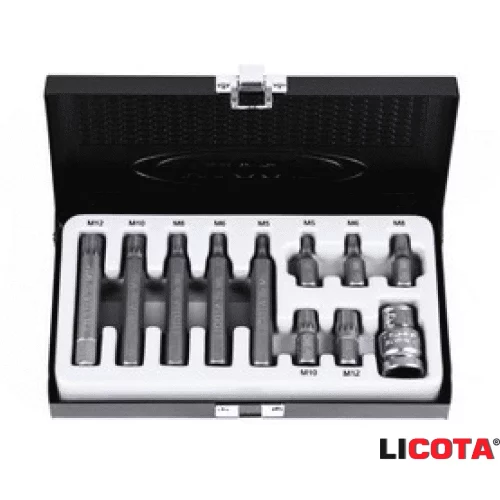 Набор бит "LICOTA" 3/8" Spline М5-М12 11 предметов с адаптером